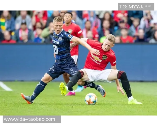 11月17日荷兰对阵法国的比赛预测与分析全面解读